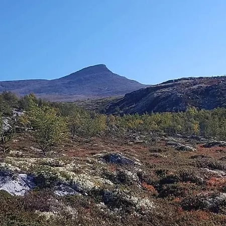 Bakken Gardshus * Rendalen