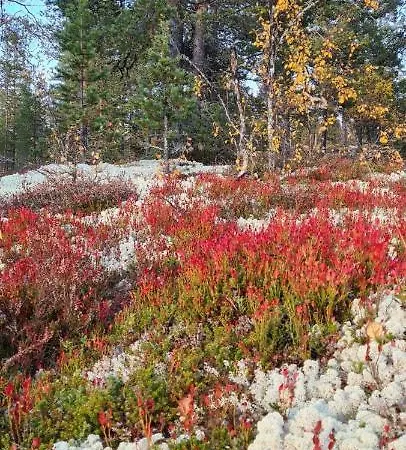 Feriegård Bakken Gardshus *