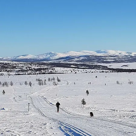 Bakken Gardshus * Rendalen