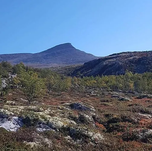 Bakken Gardshus * Rendalen