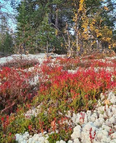 Vakantieboerderij Bakken Gardshus *