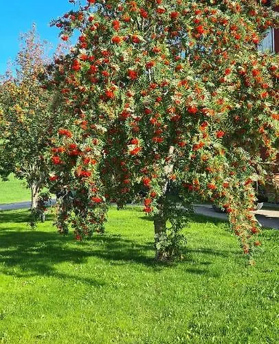 Bakken Gardshus Vakantieboerderij *