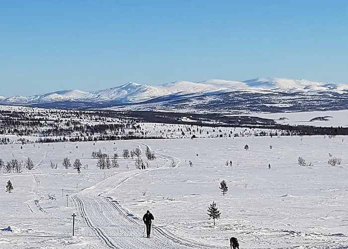 Bakken Gardshus * Rendalen