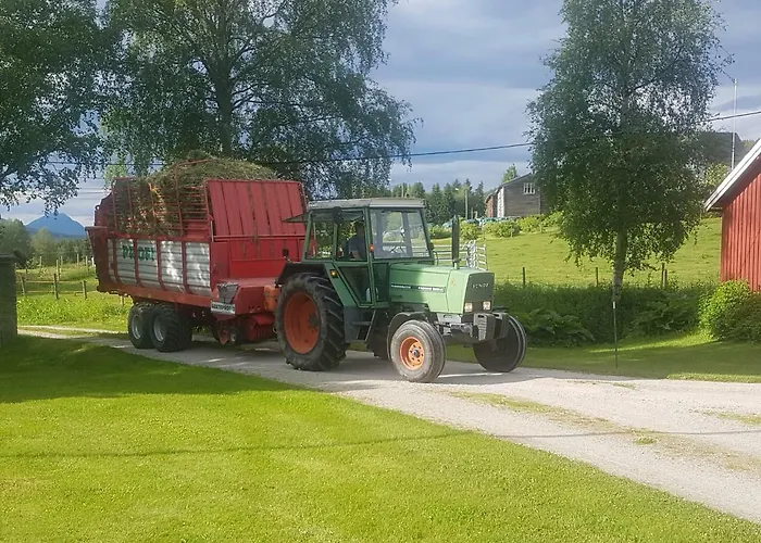 Bakken Gardshus Farm stay Rendalen