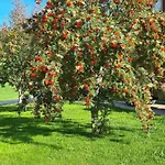 Bakken Gardshus Farm stay *
