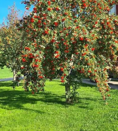 Bakken Gardshus Farmház *